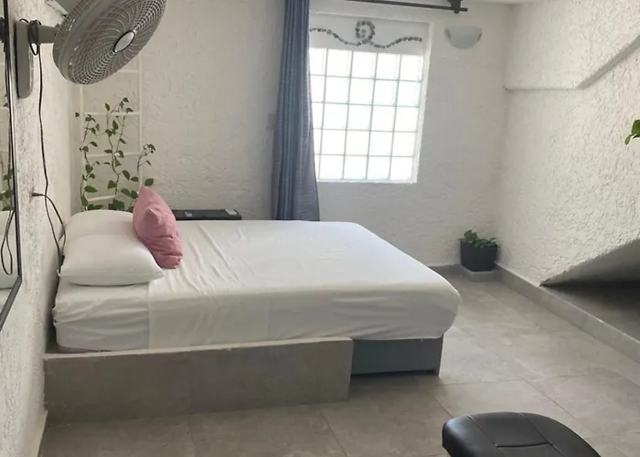 Gasthof Caribo Cozumel