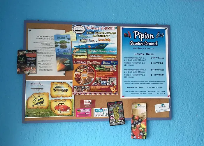 Caribo